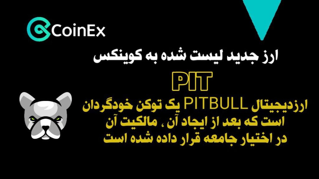 معرفی ارزدیجیتال PIT