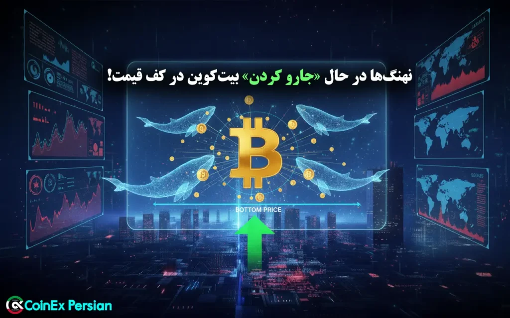 انباشت نهنگ های بیت کوین