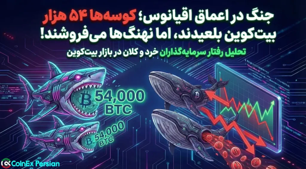 انباشت بیت کوین توسط کوسه‌ها
